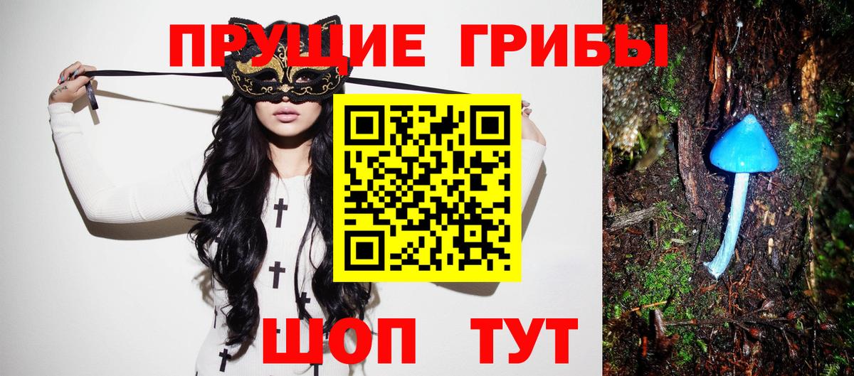 Псилоцибиновые грибы прущие грибы Зима